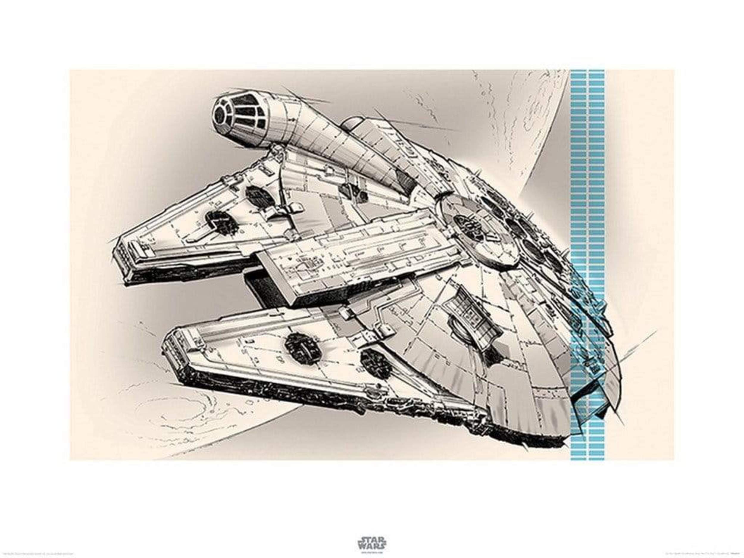 Star popular Wars: Millennium Falcon