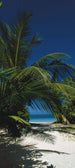 Komar To the Beach Fotobehang 97x220cm | Yourdecoration.nl