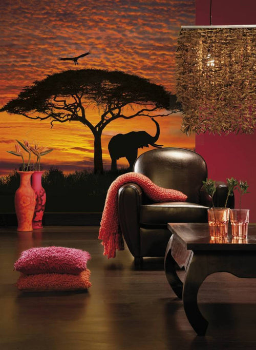 Komar African Sunset Fotobehang National Geographic 194x270cm | Yourdecoration.nl