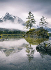 Wizard+Genius Foggy Day Vlies Fotobehang 192x260cm 4 banen | Yourdecoration.nl