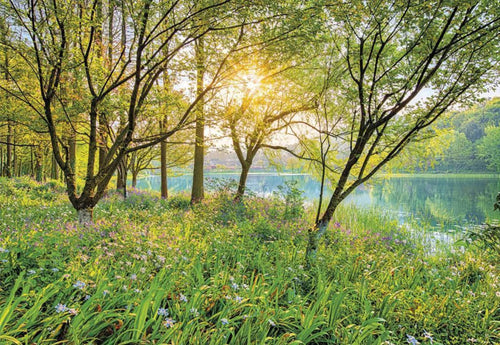 Komar Spring Lake Fotobehang National Geographic 368x254cm | Yourdecoration.nl