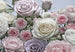 Komar Floraison Fotobehang 368x254cm | Yourdecoration.nl