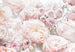 Komar Vlies Fotobehang 8 976 Spring Roses | Yourdecoration.nl