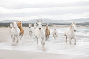 Komar White Horses Fotobehang 368x254cm | Yourdecoration.nl