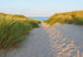 Komar Sandy Path Fotobehang 368x254cm | Yourdecoration.nl