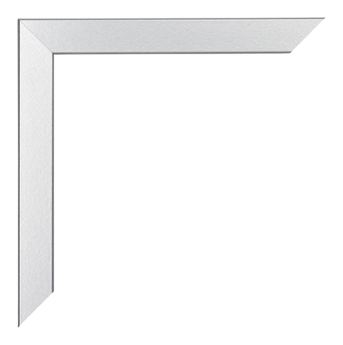 Catania MDF Fotolijst 48x68cm Zilver Detail Hoel | Yourdecoration.nl