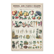 Grupo Erik Gpe5603 Poster Fruits And Vegetables | Yourdecoration.nl