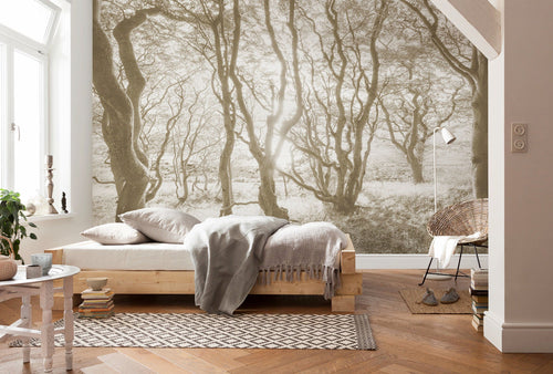 Komar Bleached Birch Vlies Fotobehang 400x250cm 4 banen Sfeer | Yourdecoration.nl