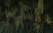 Komar Darkest Green Vlies Fotobehang 400x250cm 4 banen | Yourdecoration.nl