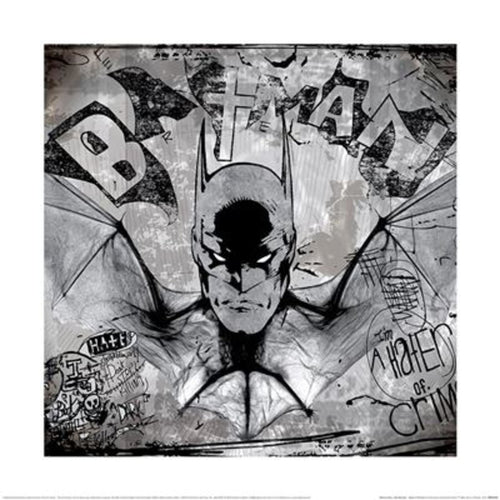 Kunstdruk Wb100 Batman Hater Of Crime 40x40cm Pyramid PPR55139 | Yourdecoration.nl