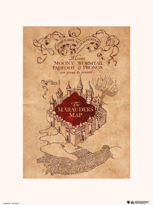 Grupo Erik Harry Potter The Marauders Map Kunstdruk 30X40cm | Yourdecoration.nl