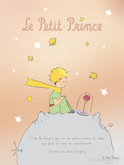 Grupo Erik The Little Prince Fr Kunstdruk 30X40cm | Yourdecoration.nl