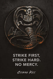 Pyramid PP34736 Cobra Kai Metal Poster | Yourdecoration.nl