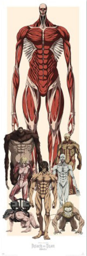 Poster Attack On Titan 53x158cm Grupo Erik PPGE8120 | Yourdecoration.nl