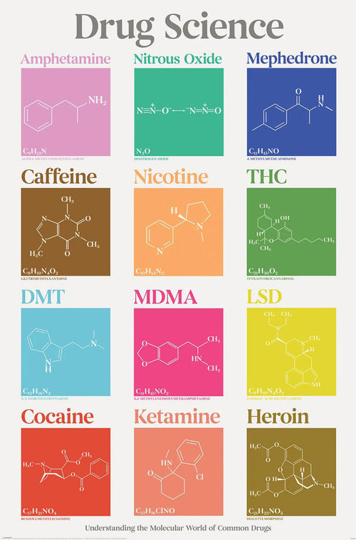 Poster Drug Science A Z 61x91 5cm PP2402112 | Yourdecoration.nl