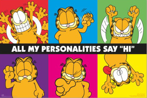 Poster Garfield 91 5x61cm Grupo Erik GPE5891 | Yourdecoration.nl