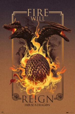 Poster House Of The Dragon Fire Will Reign 61x91 5cm Grupo Erik GPE5856 | Yourdecoration.nl