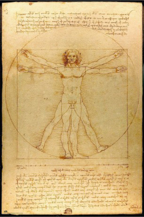 Poster Vitruvian Man 61x91 5cm Grupo Erik GPE5819 | Yourdecoration.nl