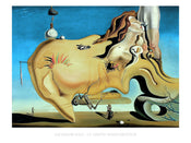 Kunstdruk Salvador Dali Le Grand Masturbateur 80x60cm SD 510 PGM | Yourdecoration.nl