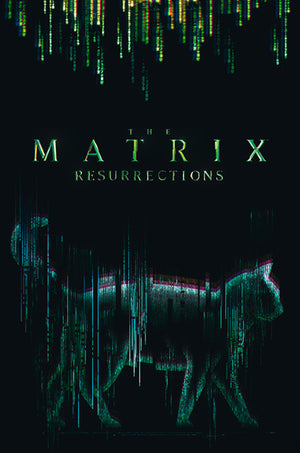 Abystyle Abydco864 The Matrix Cat Poster 61x91,5cm | Yourdecoration.nl