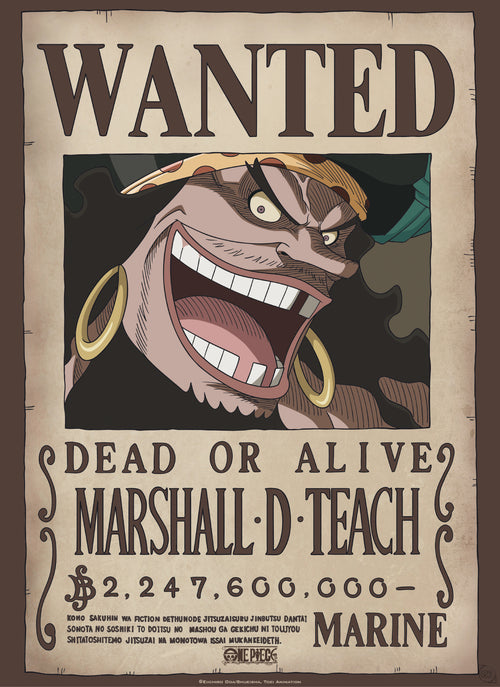 Abystyle Gbydco267 One Piece Wanted Blackbeard Poster 38x52cm | Yourdecoration.nl