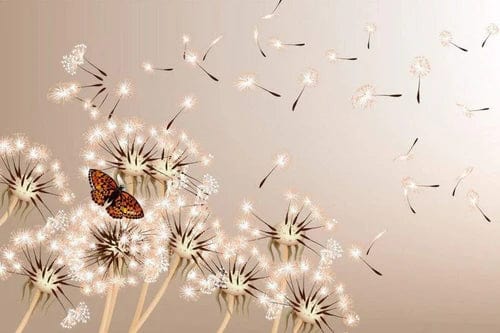 Fotobehang - Dandelions and Butterfly 150x250cm - Vliesbehang