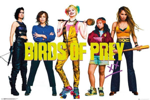 GBeye Birds of Prey Group Poster 91,5x61cm | Yourdecoration.nl