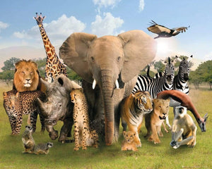 GBeye Wild World Poster 50x40cm | Yourdecoration.nl