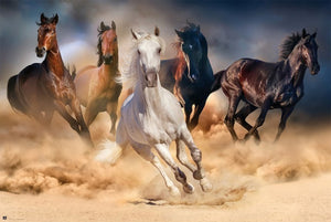 Grupo Erik GPE5031 Five Horses Poster 91,5X61cm | Yourdecoration.nl