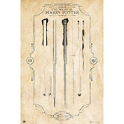 Grupo Erik GPE5161 Harry Potter The Wand Poster 61X91,5cm | Yourdecoration.nl