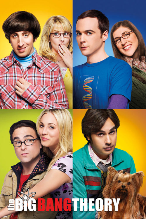 Grupo Erik GPE5328 The Big Bang Theory Mosaico Poster 61X91,5cm | Yourdecoration.nl