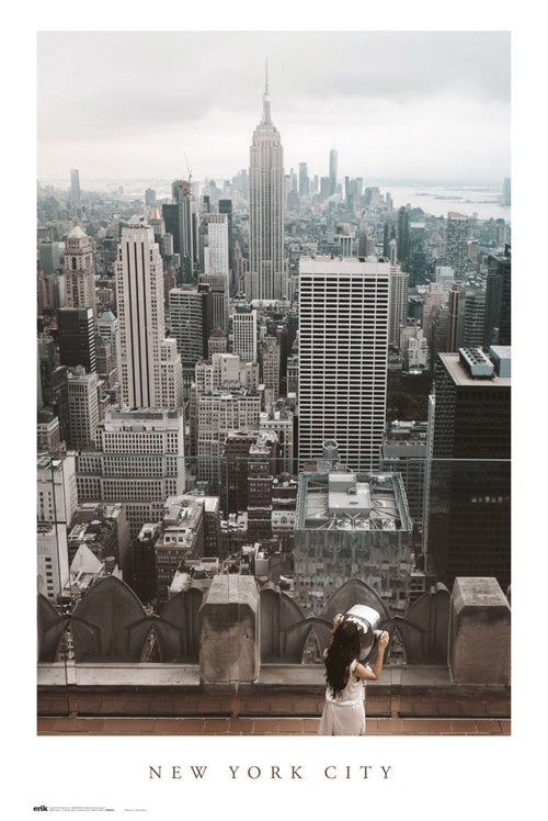 Grupo Erik GPE5547 New York City Views Poster 61X91,5cm | Yourdecoration.nl