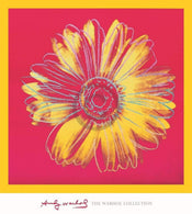 Andy Warhol  Daisy 1982 Kunstdruk 90x90cm | Yourdecoration.nl