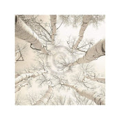 Adam Brock  Silver Birch Kunstdruk 51x51cm | Yourdecoration.nl