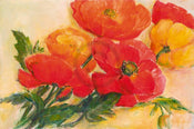 Elisabeth Krobs  Splendid Poppies Kunstdruk 100x70cm | Yourdecoration.nl