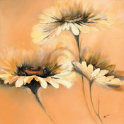 Elena Filatov  Apricot Summer I Kunstdruk 70x70cm | Yourdecoration.nl