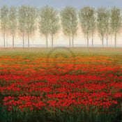 Park  Morning Mist Kunstdruk 68x68cm | Yourdecoration.nl