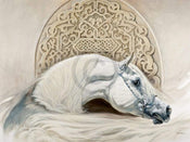 Renato Casaro  Arabian Pride Kunstdruk 80x60cm | Yourdecoration.nl