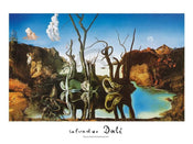 Salvador Dali  Reflections of Elephants Kunstdruk 80x60cm | Yourdecoration.nl