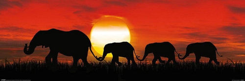 Pyramid Sunset Elephants Poster 91,5x30,5cm | Yourdecoration.nl