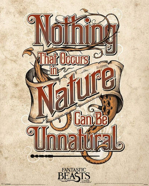 Pyramid Fantastic Beasts Unnatural Poster 40x50cm | Yourdecoration.nl