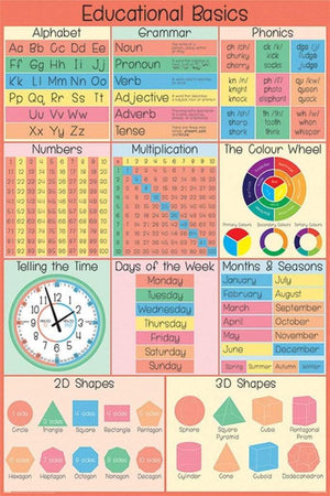 Pyramid Educational Basics Poster 61x91,5cm | Yourdecoration.nl