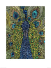 Pyramid Valentina Ramos The Peacock Kunstdruk 60x80cm | Yourdecoration.nl