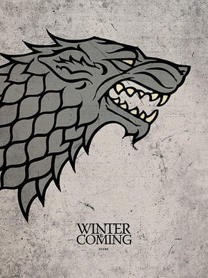 Pyramid Game of Thrones Stark Kunstdruk 60x80cm | Yourdecoration.nl