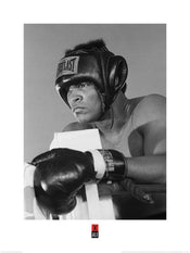 Pyramid Muhammad Ali Training Kunstdruk 60x80cm | Yourdecoration.nl