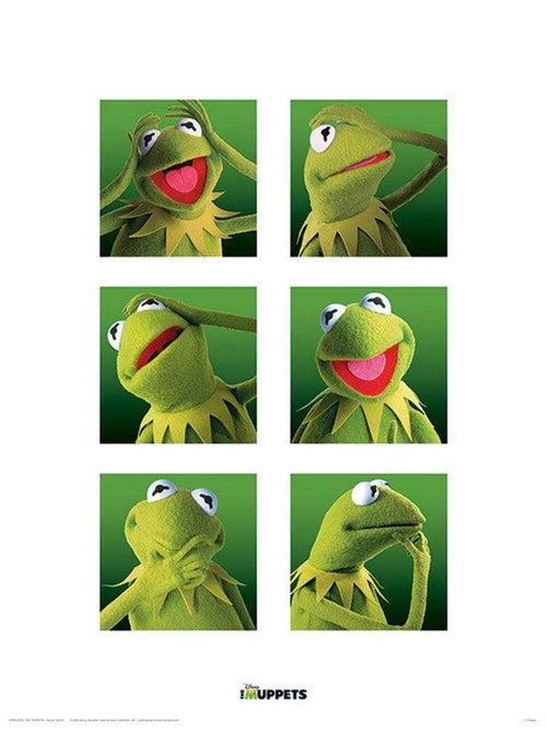 Pyramid The Muppets Kermit Boxes Kunstdruk 30x40cm | Yourdecoration.nl