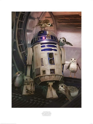 Pyramid Star Wars The Last Jedi R2D2 and Porgs Kunstdruk 60x80cm | Yourdecoration.nl