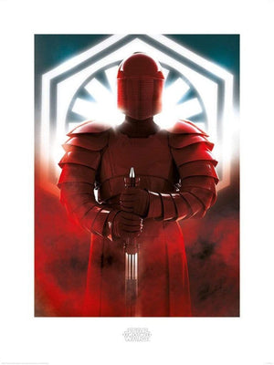 Pyramid Star Wars The Last Jedi Elite Guard Defend Kunstdruk 60x80cm | Yourdecoration.nl