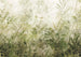 Komar Wilderness Vlies Fotobehang 400x280cm 4 banen | Yourdecoration.nl