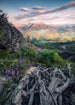 Komar Flowering Tales Vlies Fotobehang 200x280cm 4 banen | Yourdecoration.nl